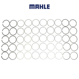 [224-3665WR] Mahle Piston Ring 6.0 (4.02)