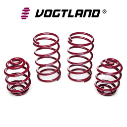 [950328] Vogtland Lowering Springs front & rear Dodge RT/Charger 11-21 20-30mm (Kit)