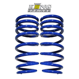 [ZR-746B] King Spring Lowering kit Rear Dodge Charger/RT 11+ (Pair)